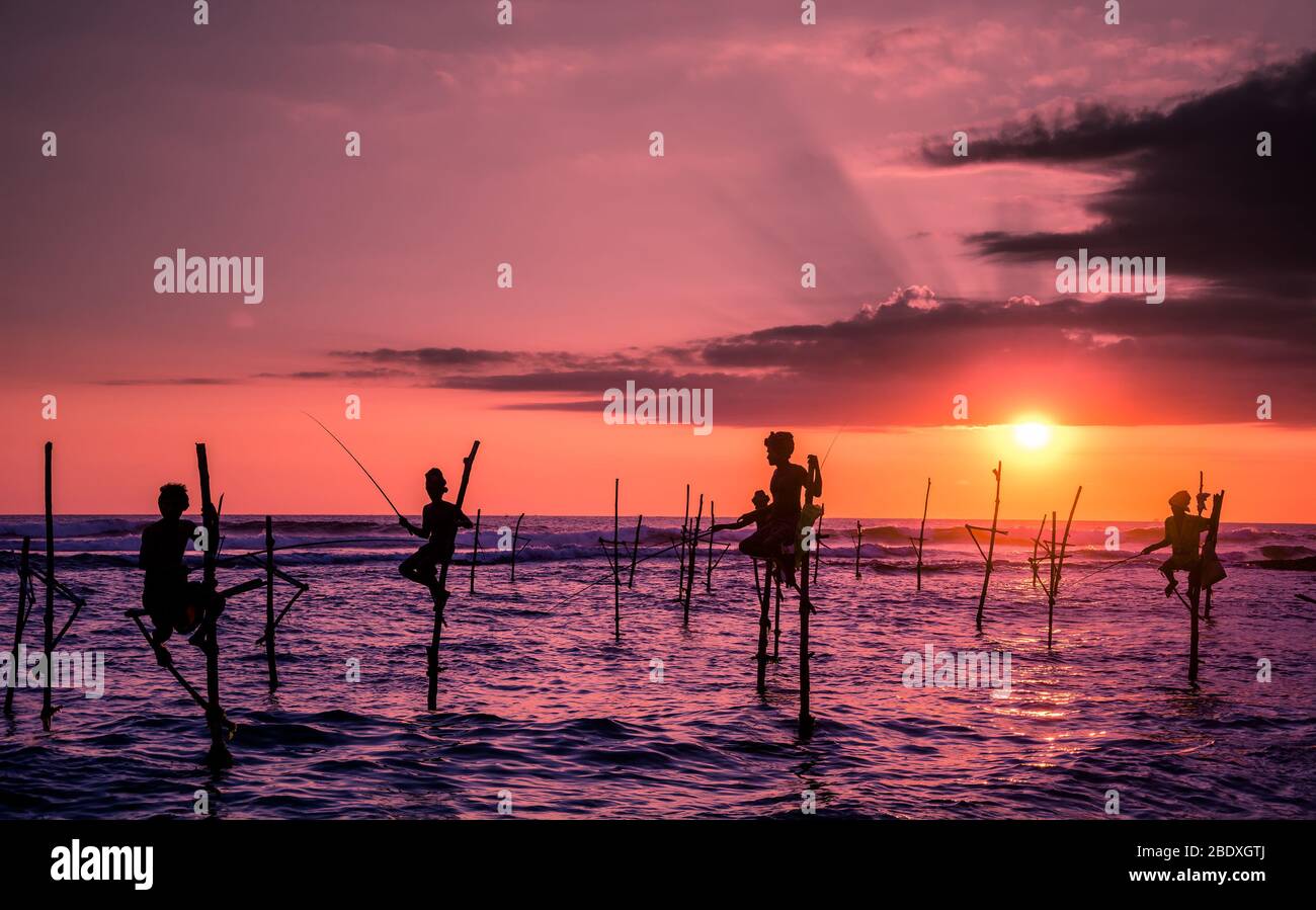 Traditional stilt fisherman at sunset in Sri Lanka Stock Photo - Alamy