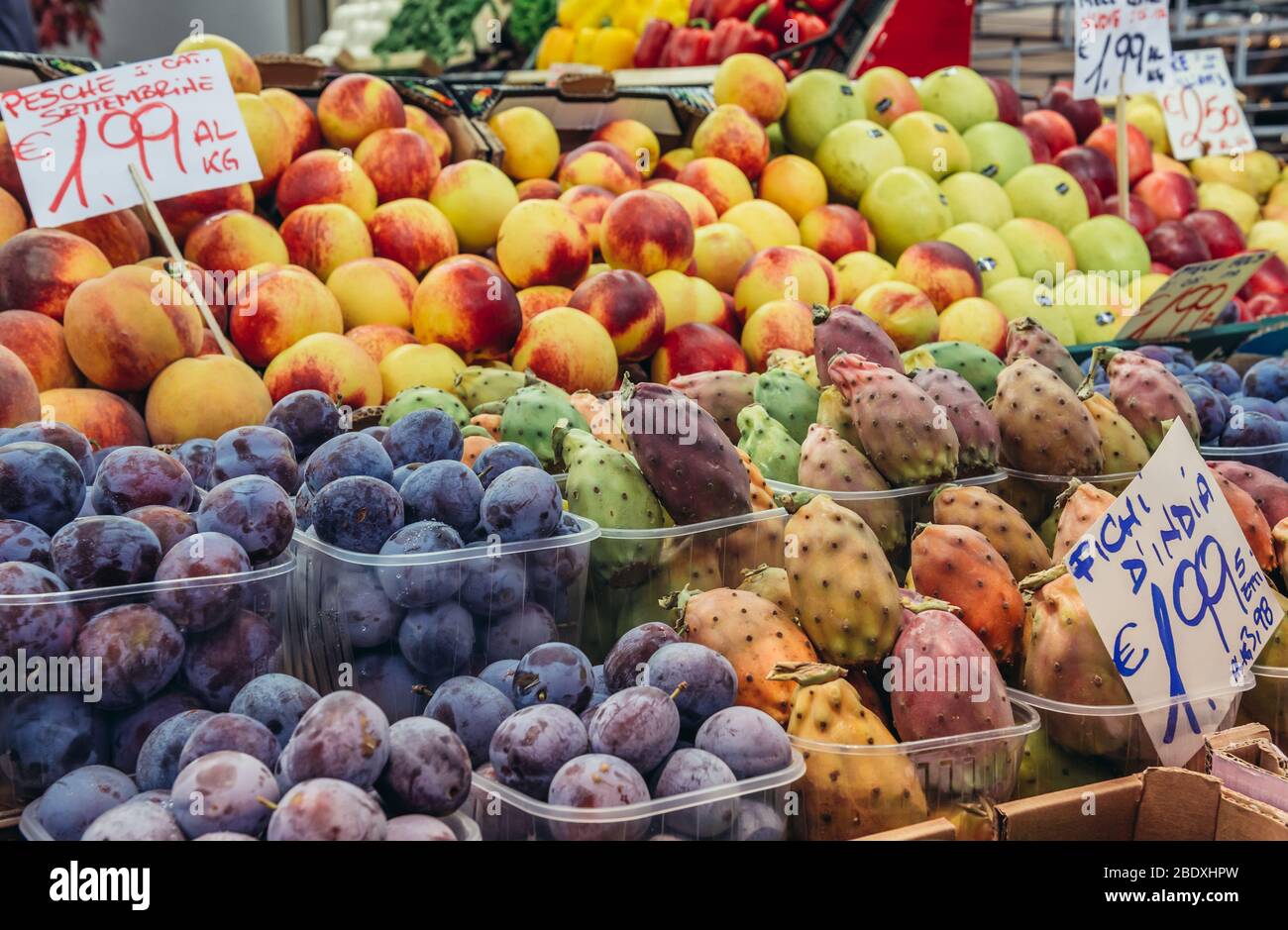 Indian fig opuntia and other fruits on Mercato Delle Erbe food market in Bologna, capital and largest city of the Emilia Romagna in Northern Italy Stock Photo
