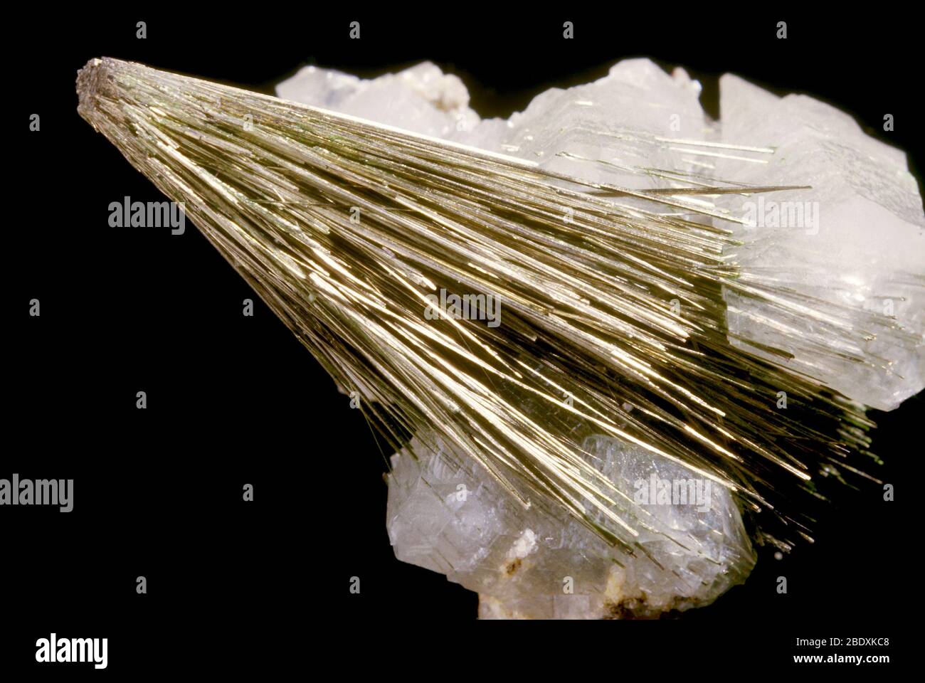 Millerite crystal from Milwaukee, Wisconsin Stock Photo Alamy