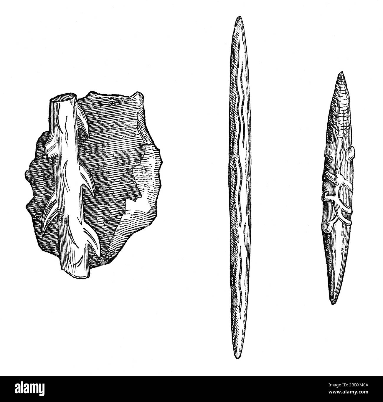 Upper Paleolithic Reindeer Horn Tools Stock Photo
