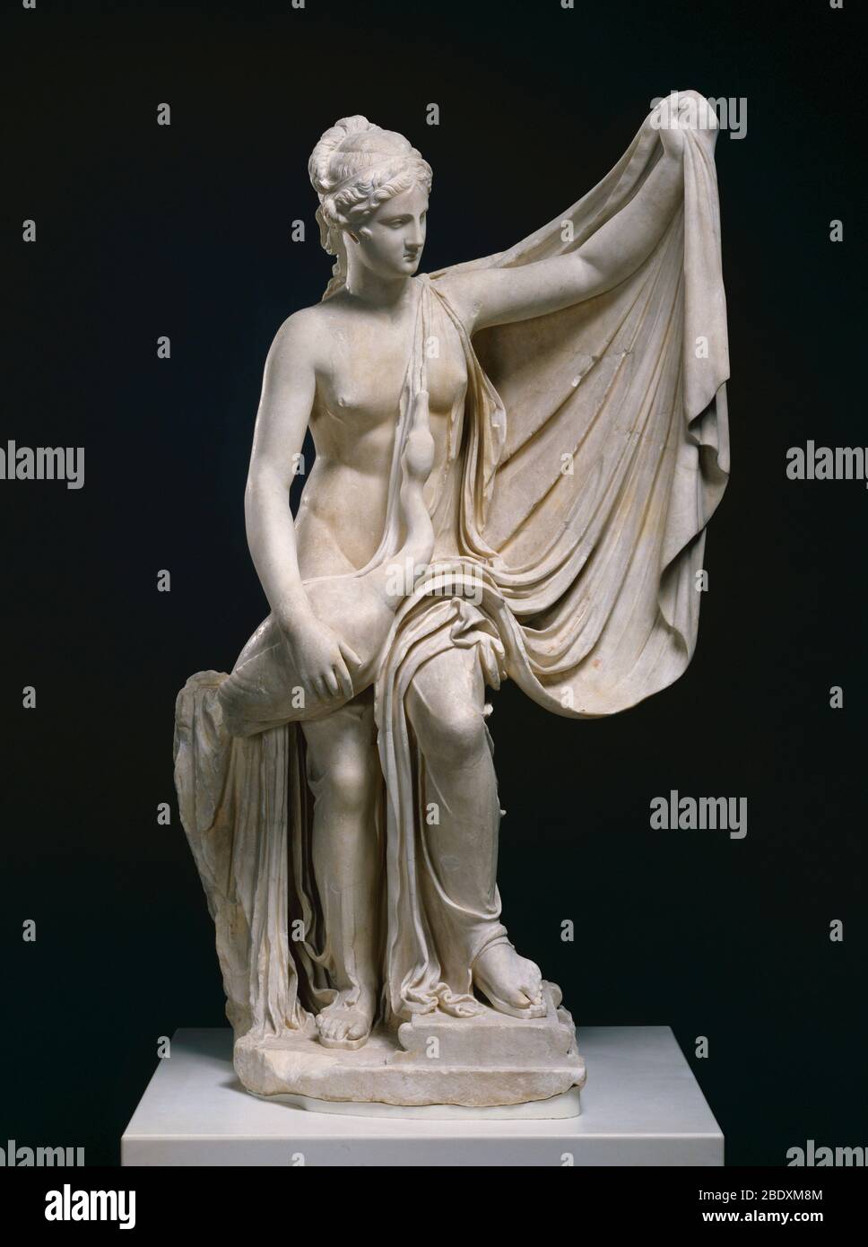 Leda and the swan hires stock photography and images Alamy