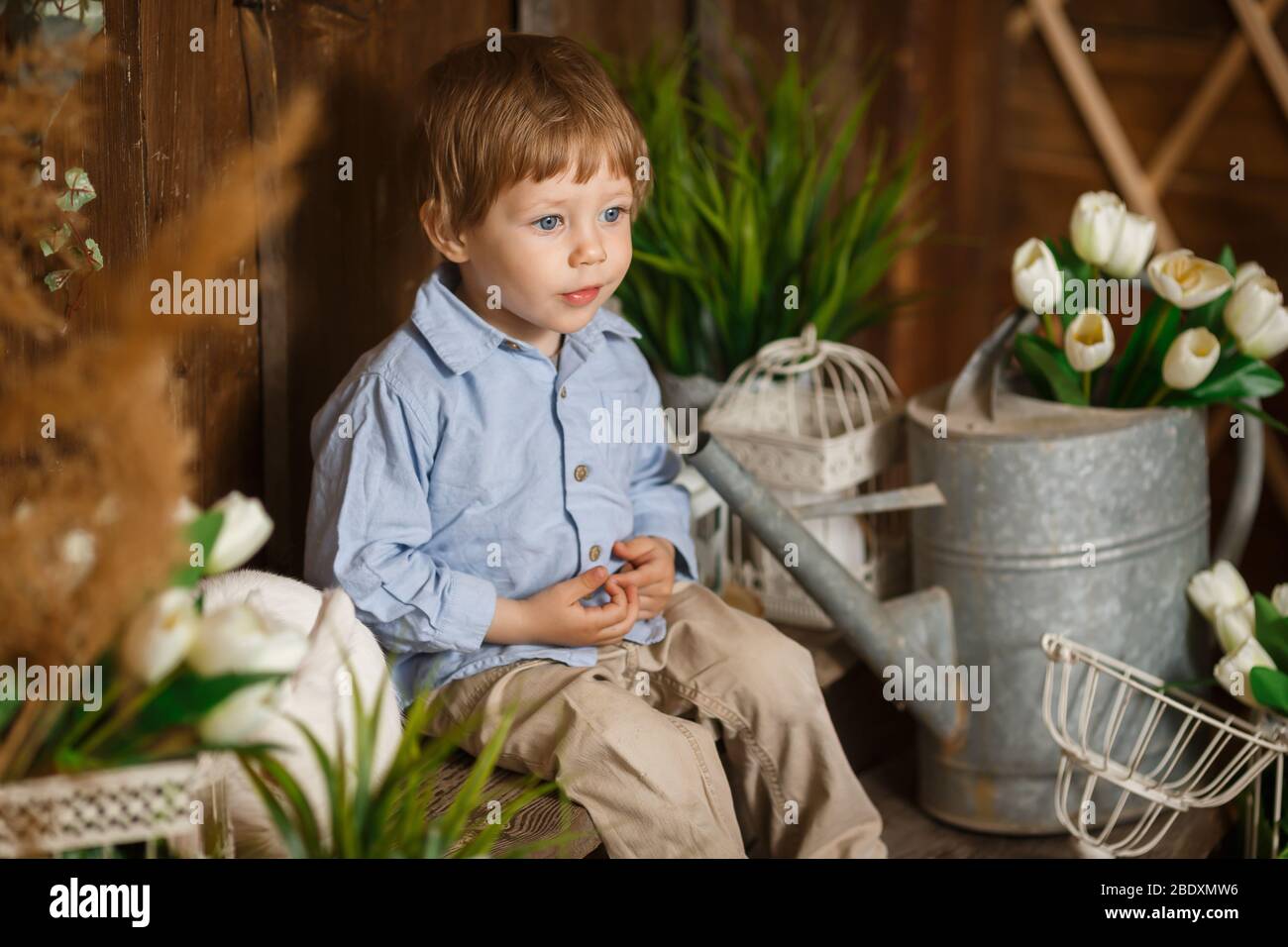 Buy Amazing Baby Swaddle Studio Milestone Muslin Blankets Set Of 3 Thrive In The Usa Americana Flag Denim Online In Indonesia B074j85ctl