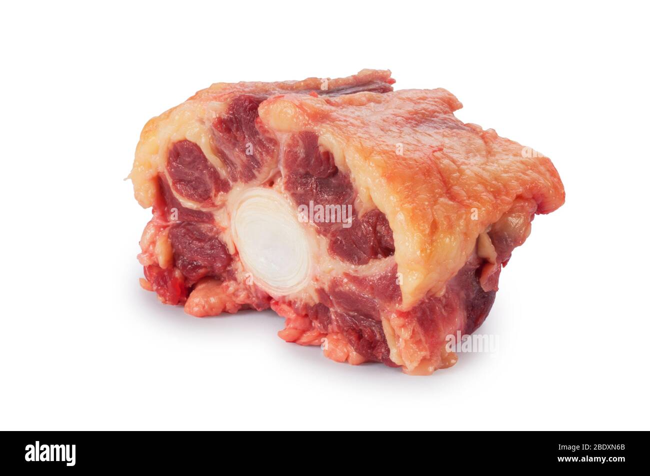 Studio shot of raw oxtail cut out against a white background Stock Photo