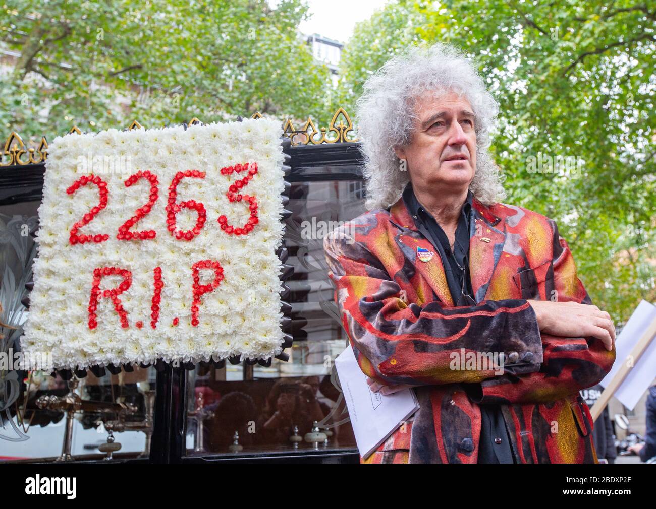 Brian May, Queen guitarist, leads a procession against the cull of badgers outside Parliament and highlights the 2263 badgers that have been killed. Stock Photo