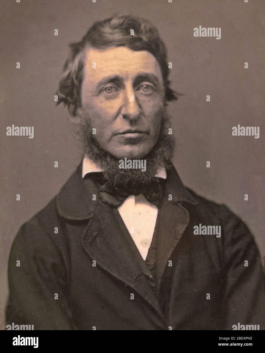 Henry David Thoreau, American Writer Stock Photo