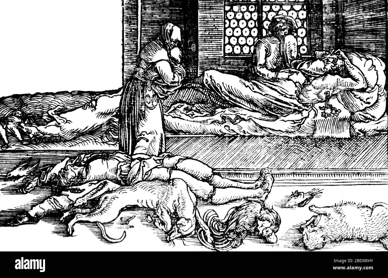 Plague Victims, 1532 Stock Photo