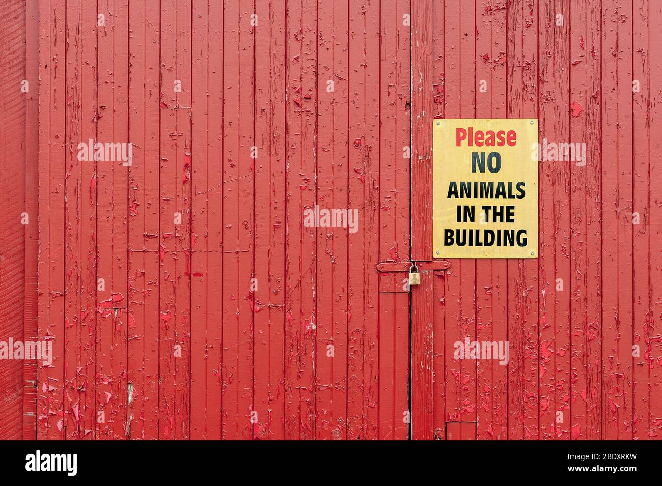No animals in the barn Stock Photo