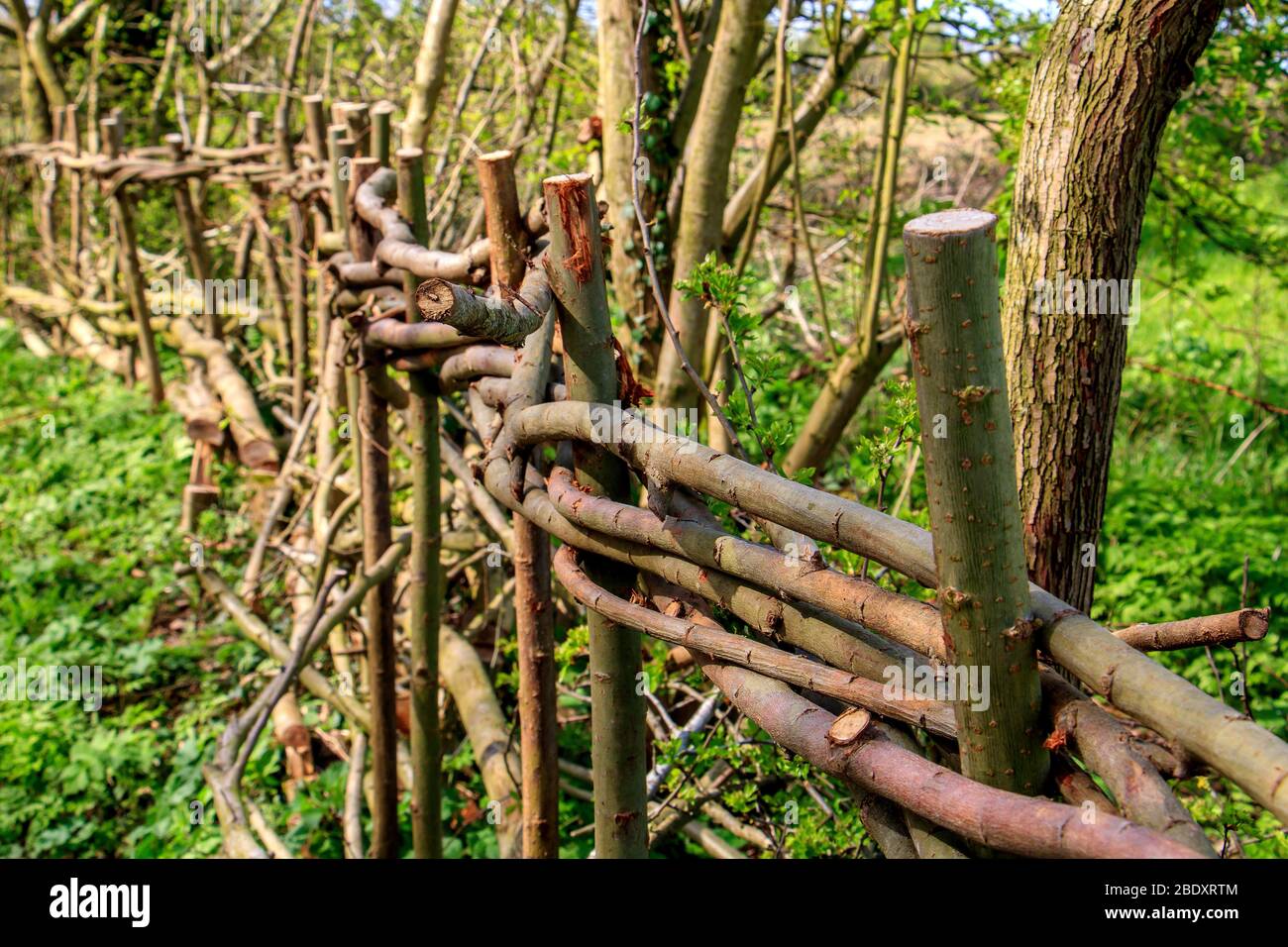Hurdle fencing hires stock photography and images Alamy
