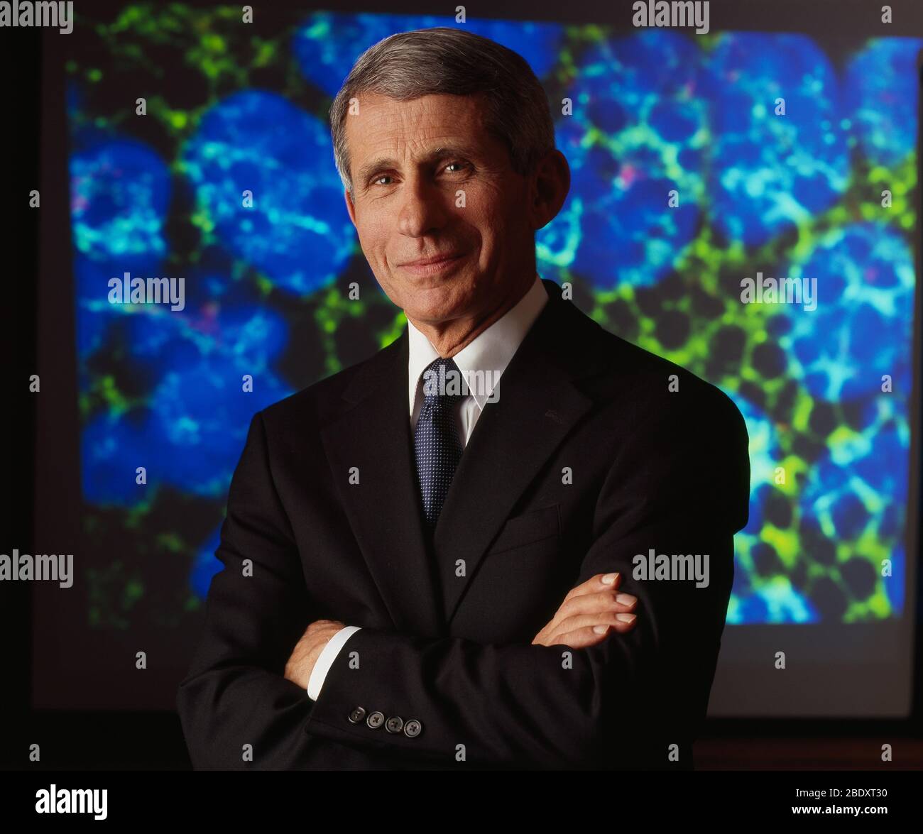 Anthony Fauci, American Immunologist Stock Photo