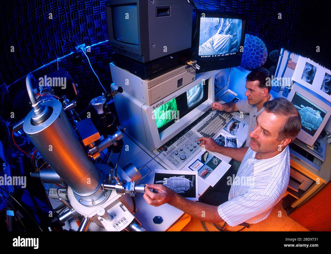 Low-temperature Scanning Electron Microscope Stock Photo