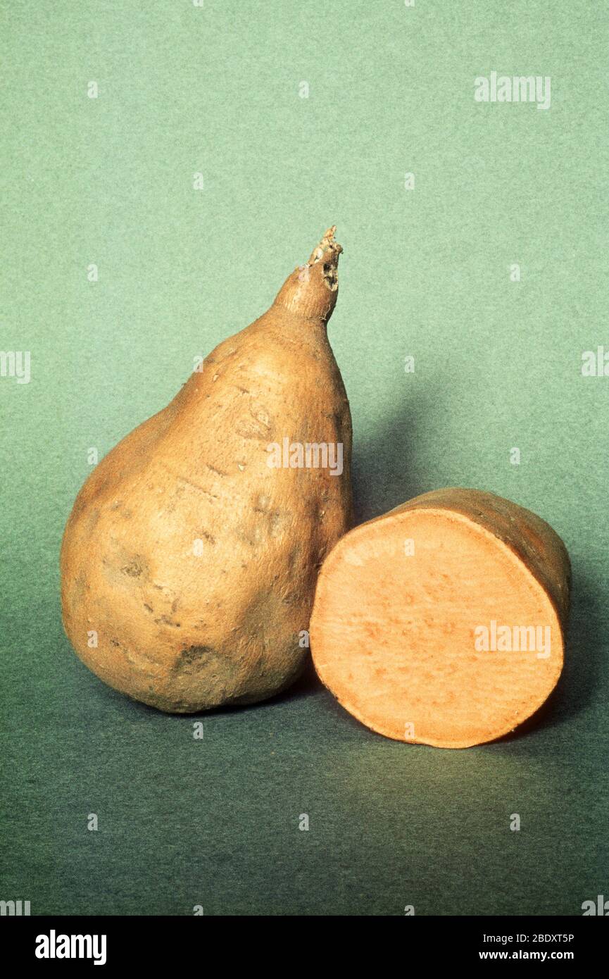 Sweet Potato Stock Photo