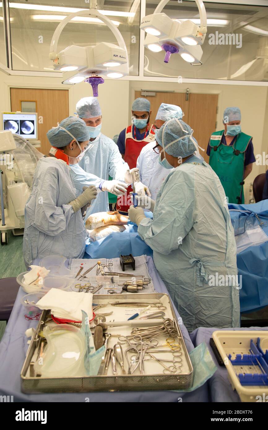 Surgeons and technicians insert a metal plate into the ankle area of a patient's foot to repair a fractured bone and damaged joint. Stock Photo