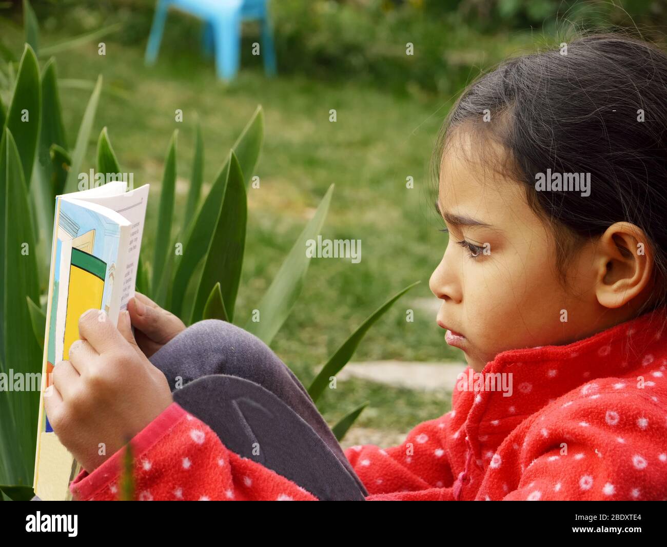 Little girl seen in profile reading on the grass Stock Photo