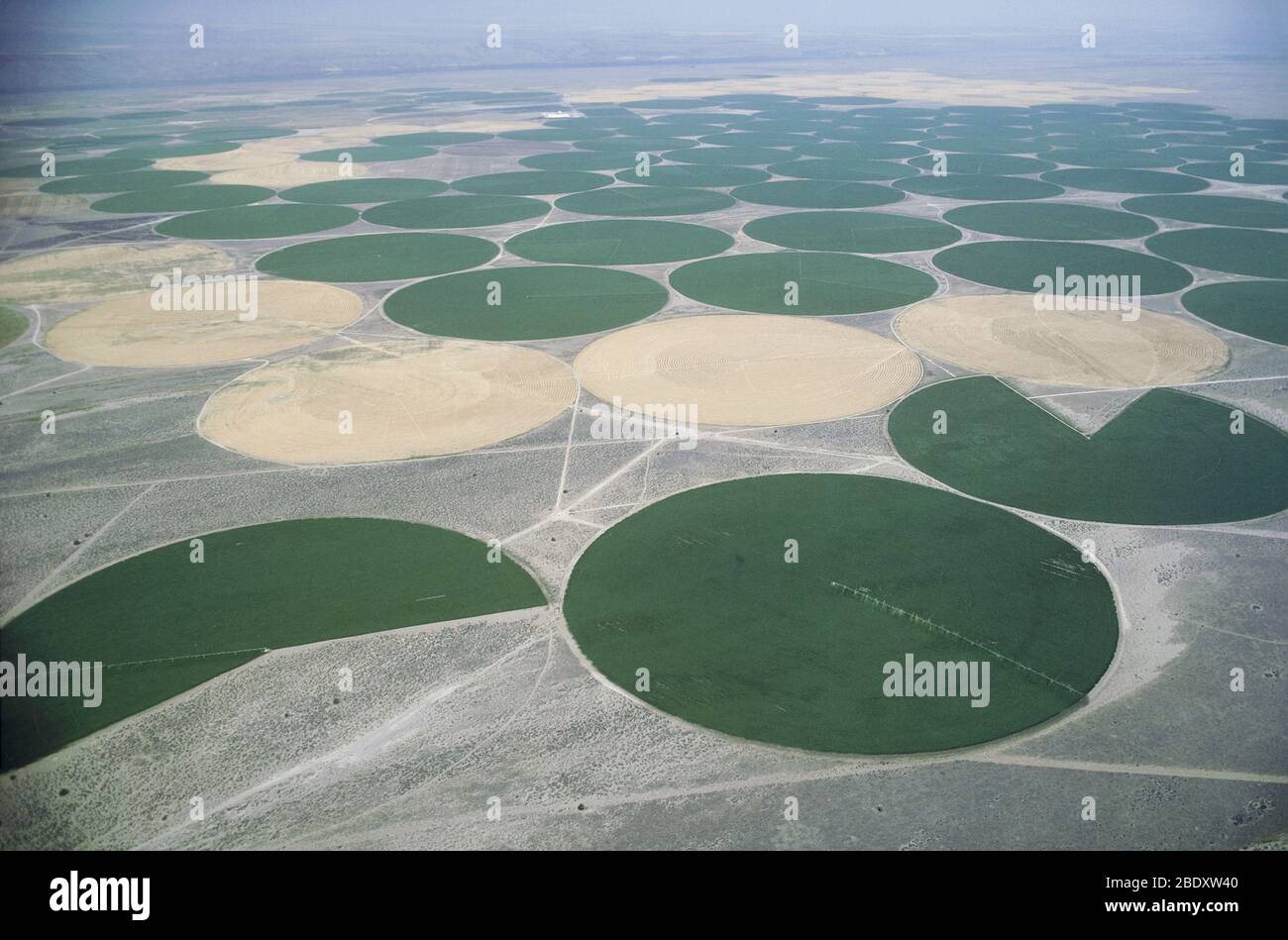 Irrigation Circles Stock Photo