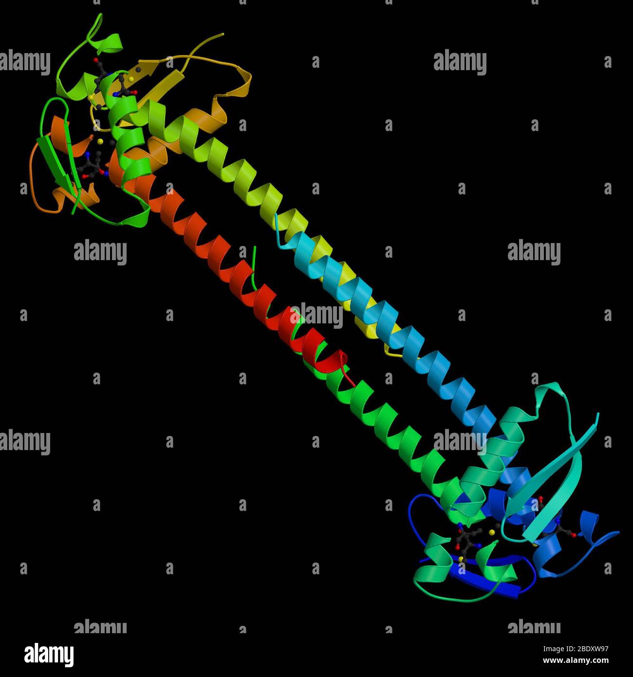 Pseudomonas aeruginosa Protein Stock Photo