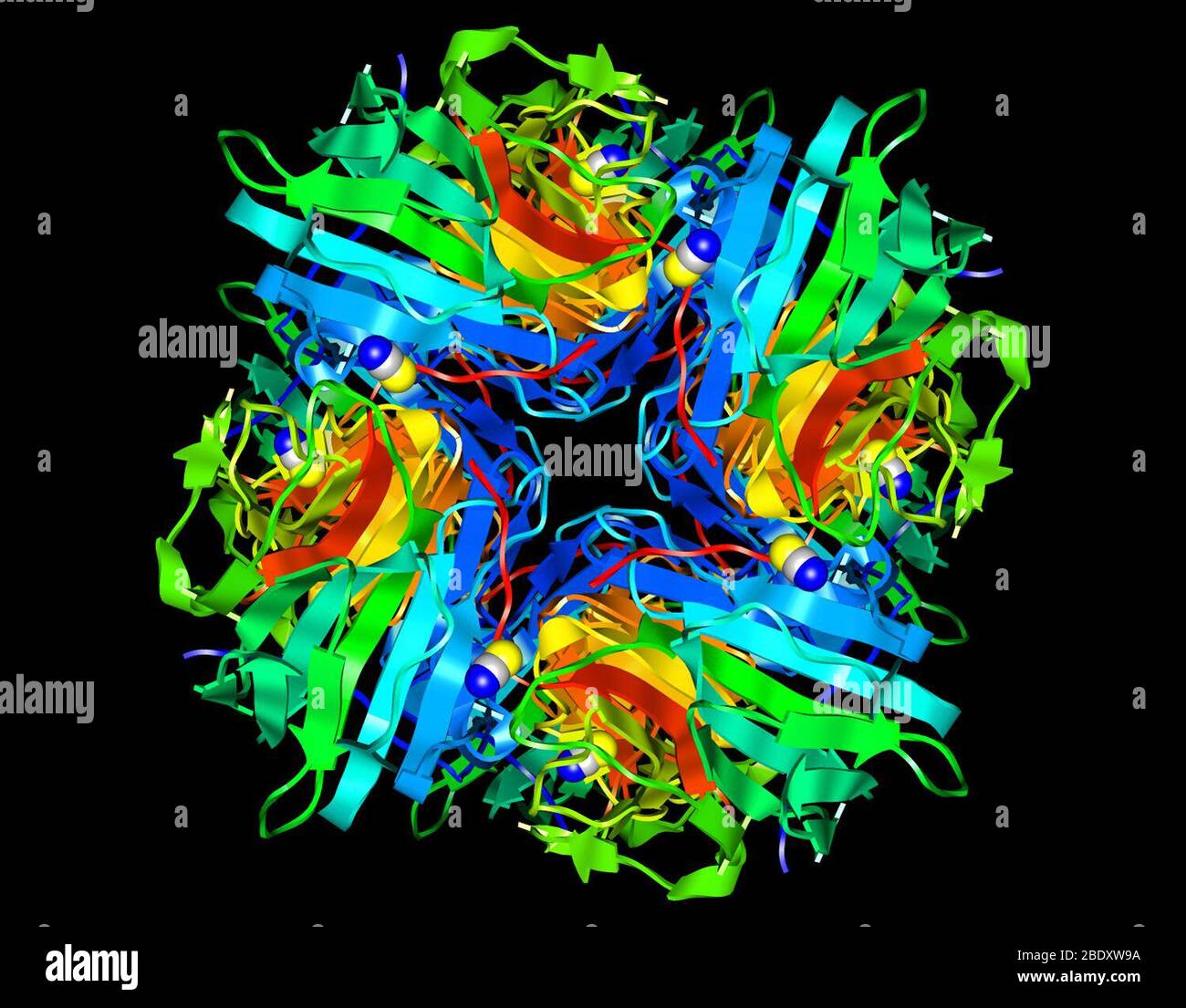 Pseudomonas aeruginosa Protein Stock Photo