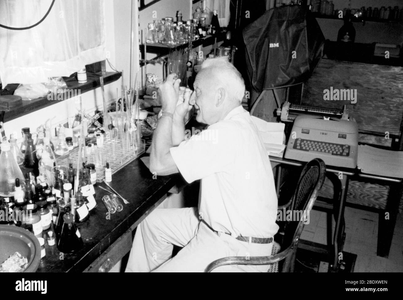Dr. Albert Szent-Gyorgi Stock Photo