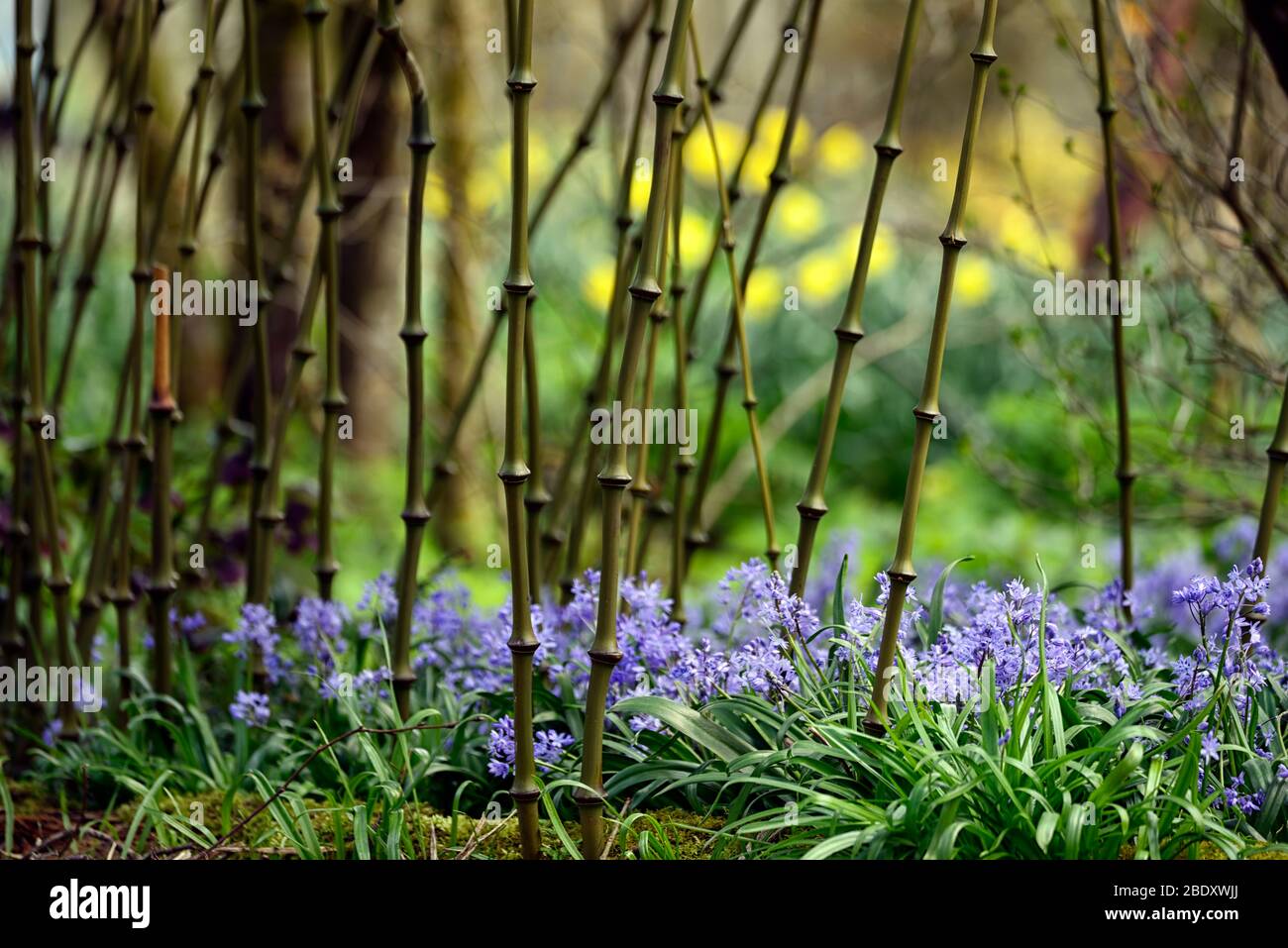 Garden cane topper hi-res stock photography and images - Alamy