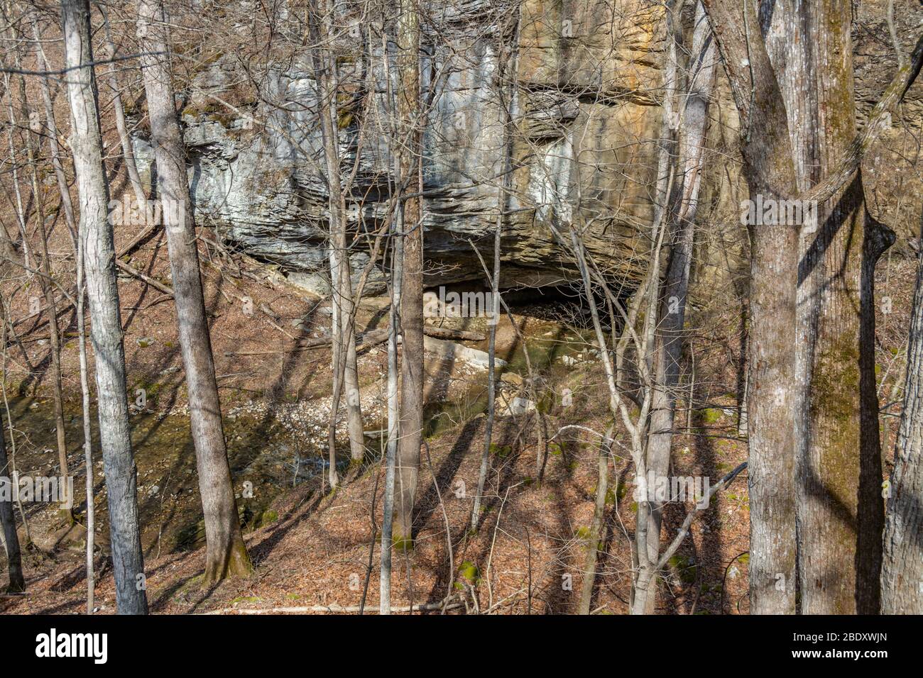 Entrance to XCave at Carter Cave State Park in Kentucky Stock Photo
