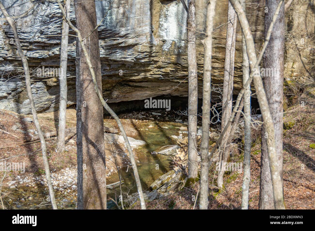 Entrance to XCave at Carter Cave State Park in Kentucky Stock Photo