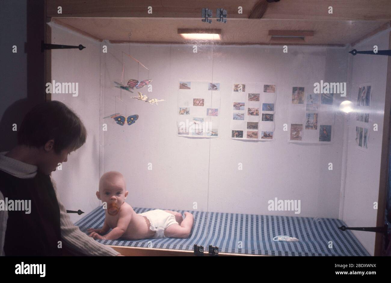 B F Skinner Stock Photos B F Skinner Stock Images Alamy