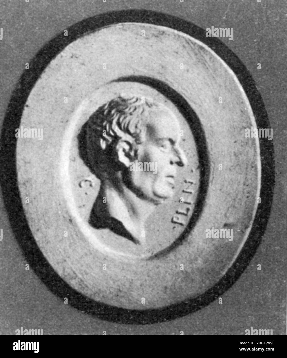 Pliny the Elder, from a Roman cameo. This is the only portrait reputed to be of Pliny, but its identity is disputed, and no confirmed likeness survives. Collection Cades C/211. Gaius Plinius Secundus (23 AD - August 25, AD 79), better known as Pliny the Elder, was a Roman author, naturalist, and natural philosopher, as well as naval and army commander of the early Roman Empire, and personal friend of the emperor Vespasian. Spending most of his spare time studying, writing or investigating natural and geographic phenomena in the field, he wrote an encyclopedic work, Naturalis Historia, which be Stock Photo
