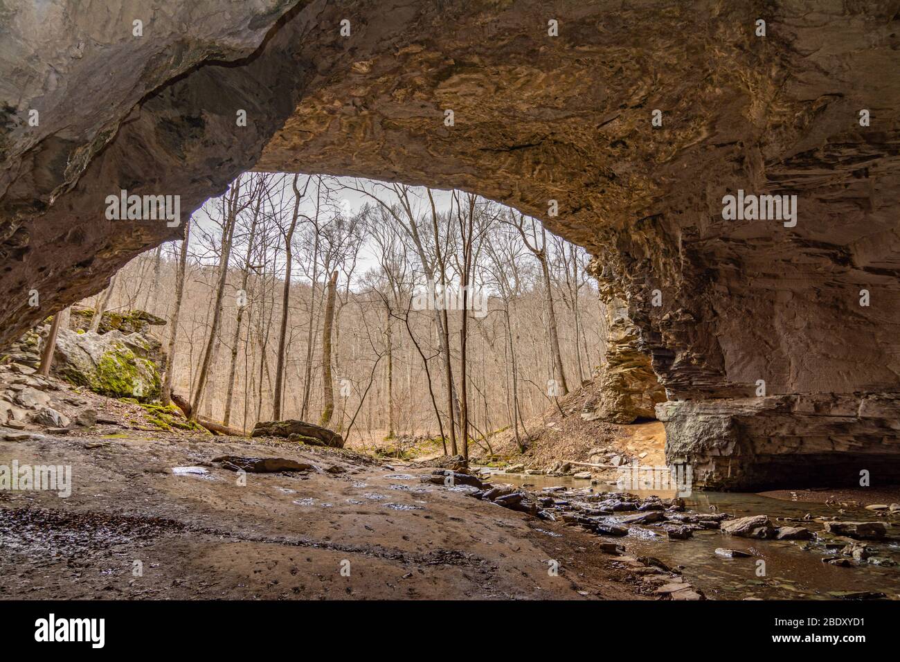 Nature Bridge limestone arch in Carter Cave State Park in Kentucky