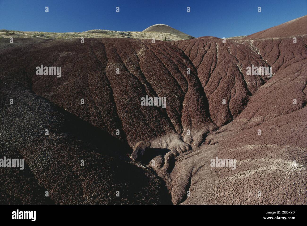 John Day Fossil Beds Stock Photo