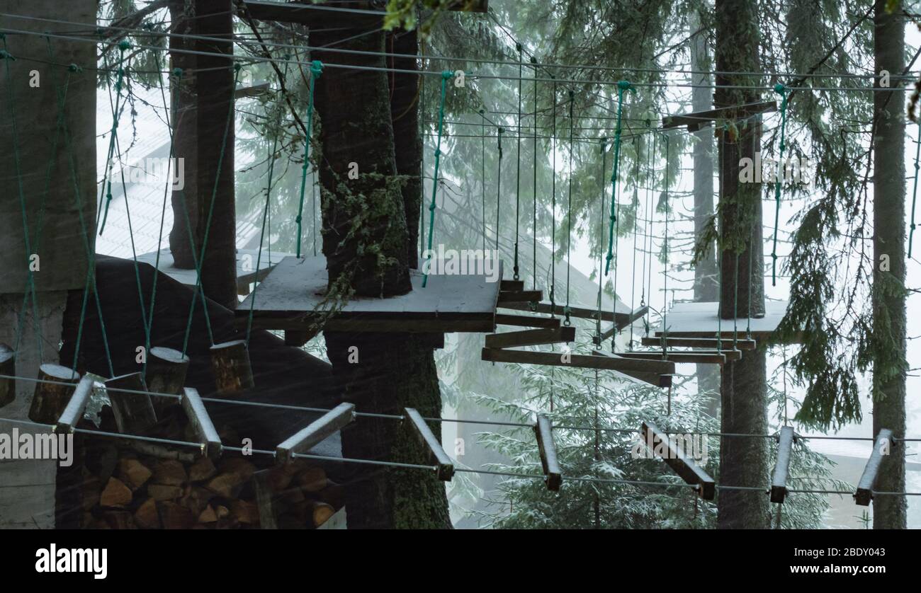 Hanging smoke in trees hi-res stock photography and images - Alamy