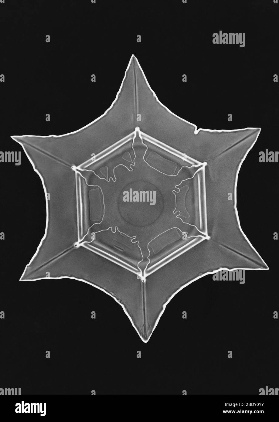 Snowflake background Black and White Stock Photos & Images - Alamy