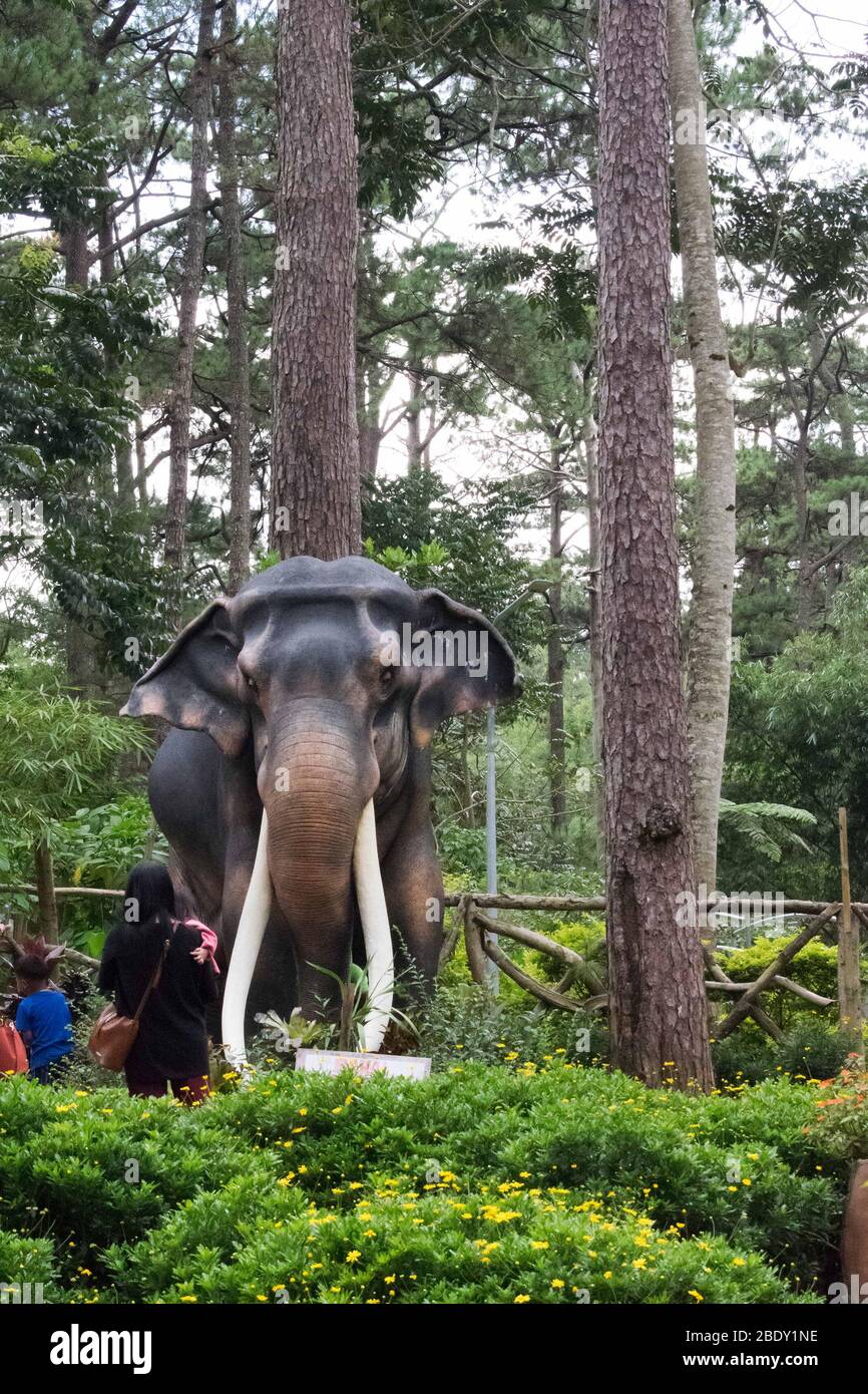 June 5, 2019-Baguio city Philippines : A giant carved elephant with tourist taking selfies with the elephant. Botanical Garden Baguio City Philippines Stock Photo