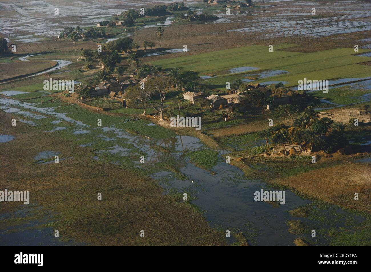 Annual Flood, Bangladesh Stock Photo