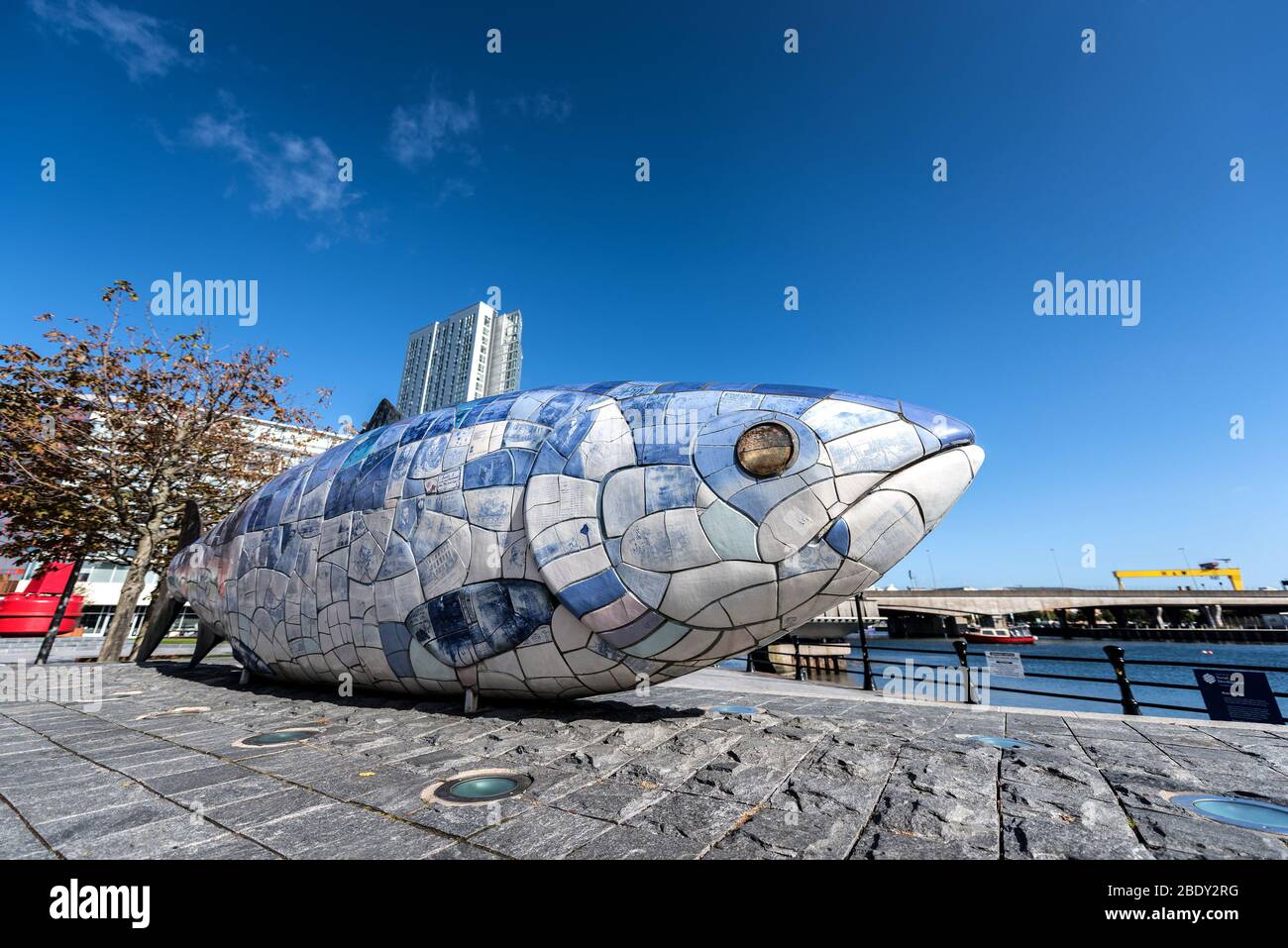 Famous fish statue in Belfast, Northern Ireland, UK Stock Photo Alamy