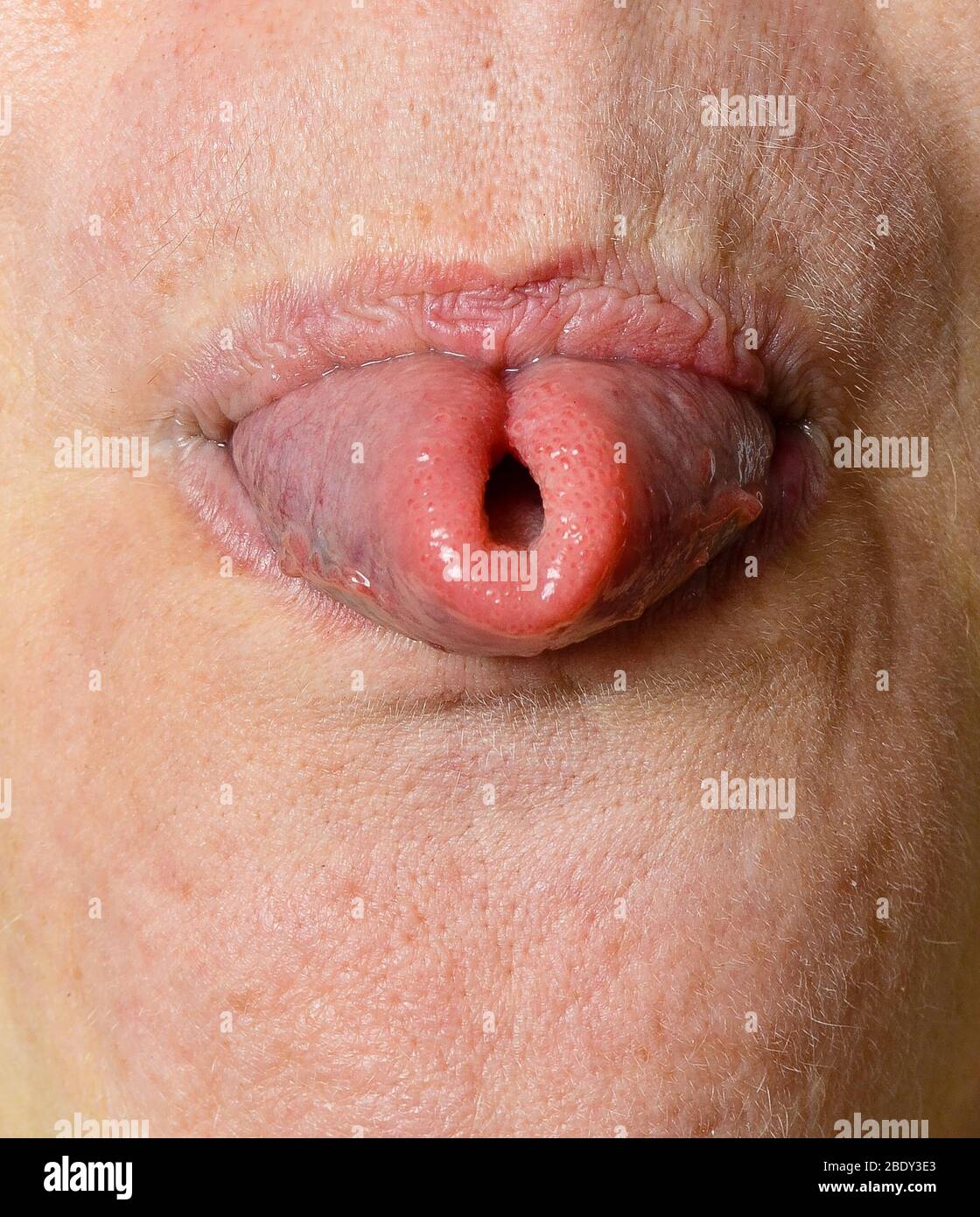 Tongue Trick Stock Photo
