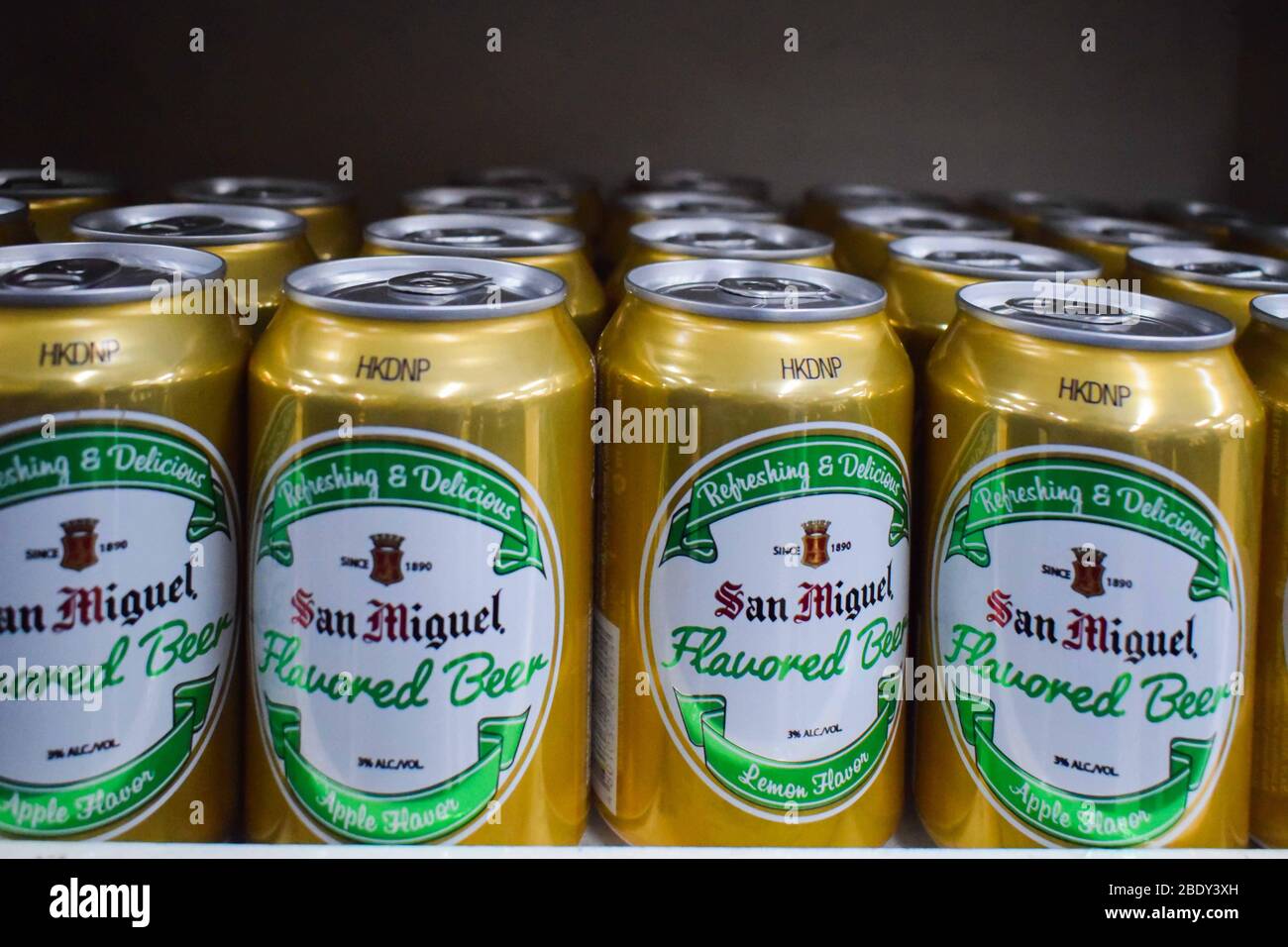 san miguel beer fridge