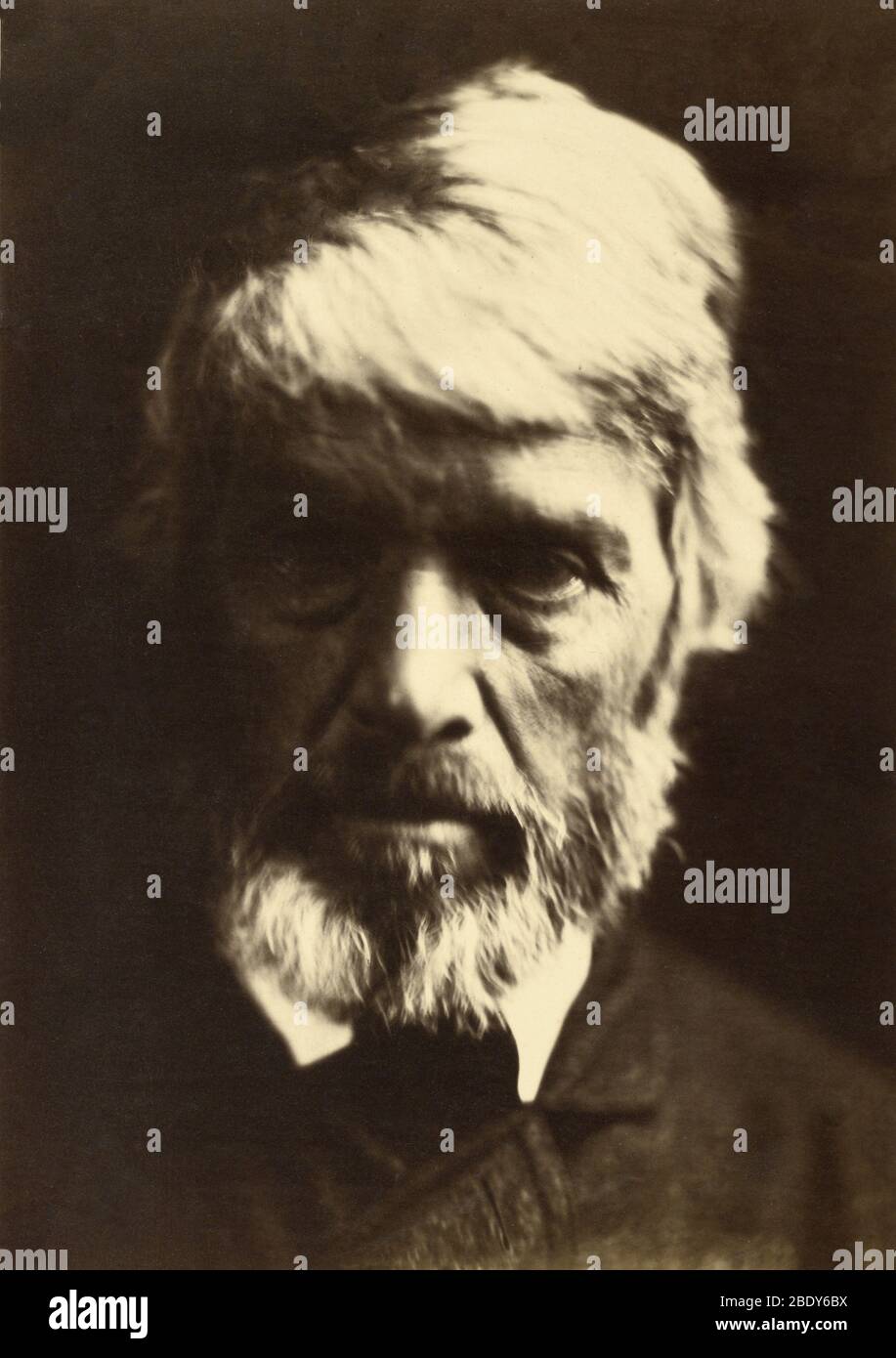 Thomas Carlyle by Julia Margaret Cameron, 1867 Stock Photo