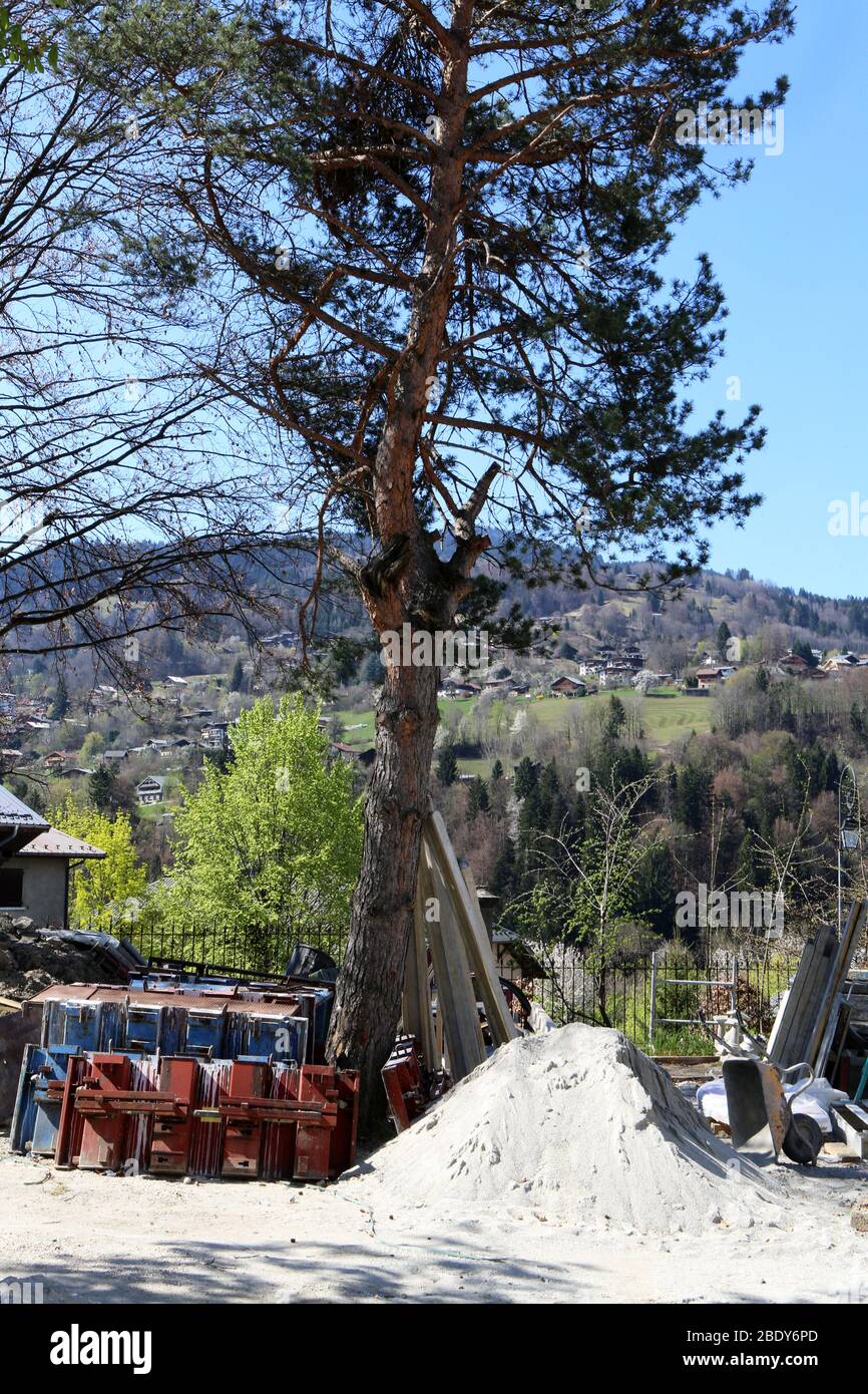 Equipement de chantier au pied d'un arbre. Saint-Gervais-les-Bains. Haute-Savoie. France. Stock Photo