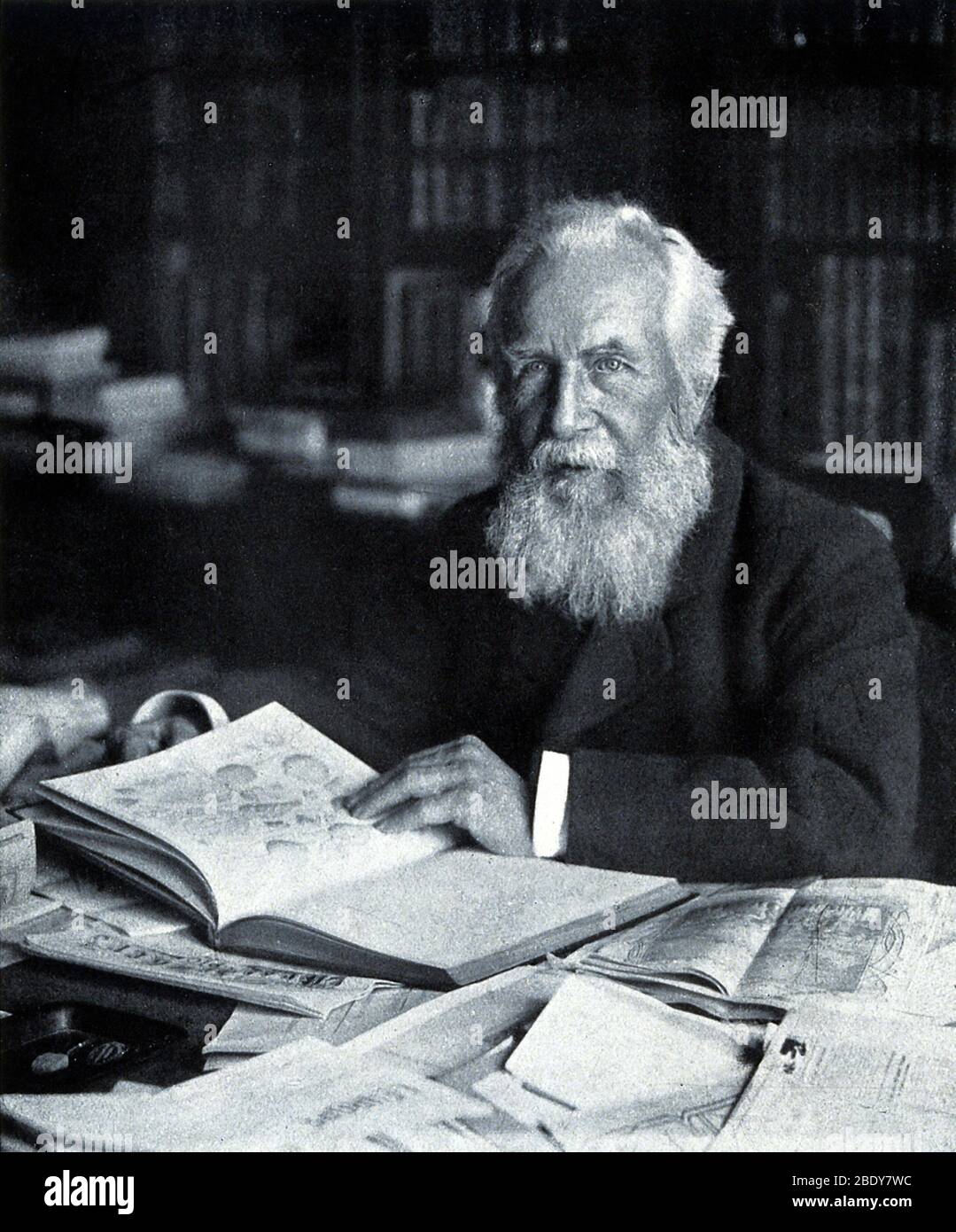 Ernst Haeckel, Naturalist and Artist Stock Photo