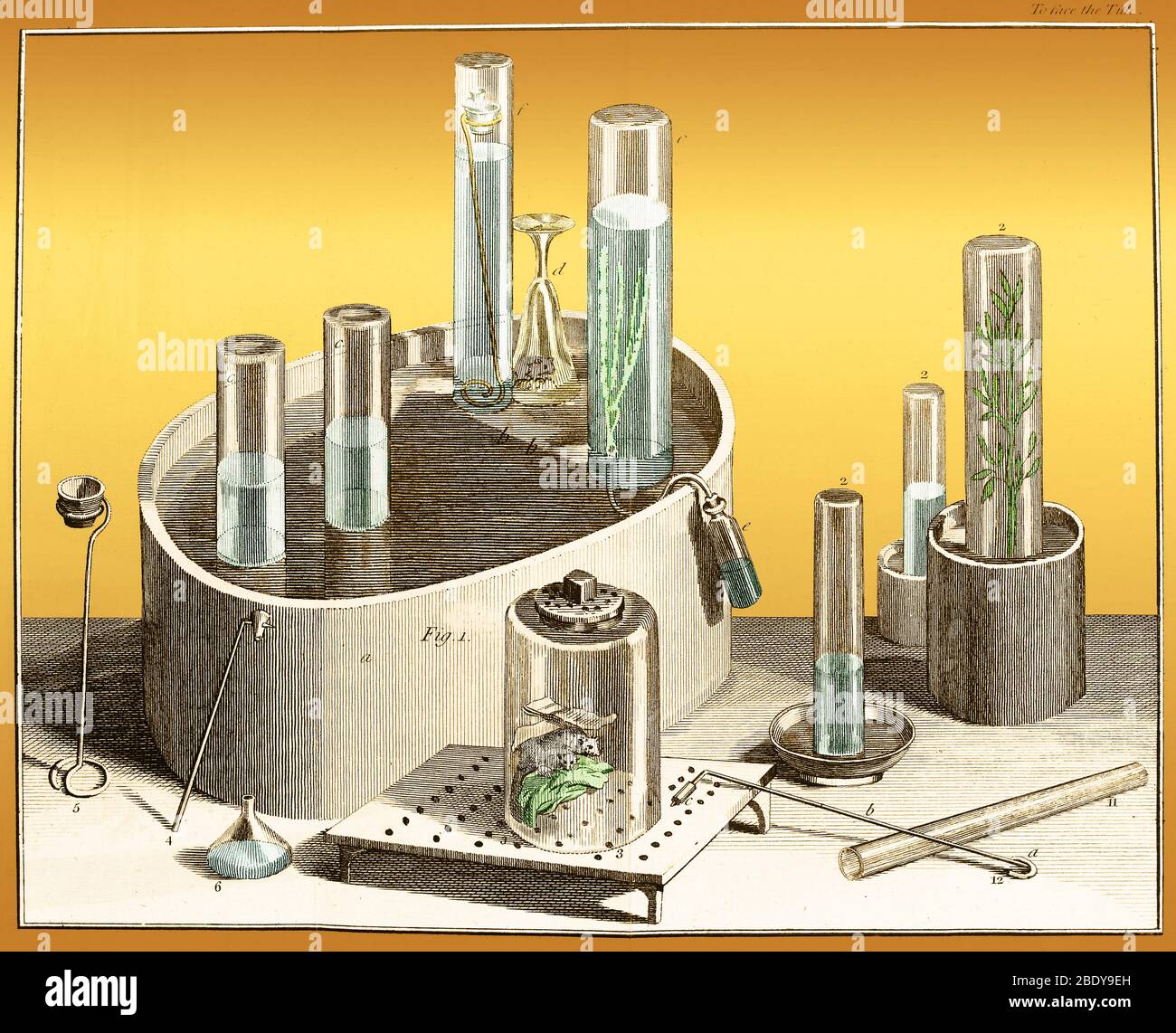 Joseph priestley oxygen hi-res stock photography and images - Alamy