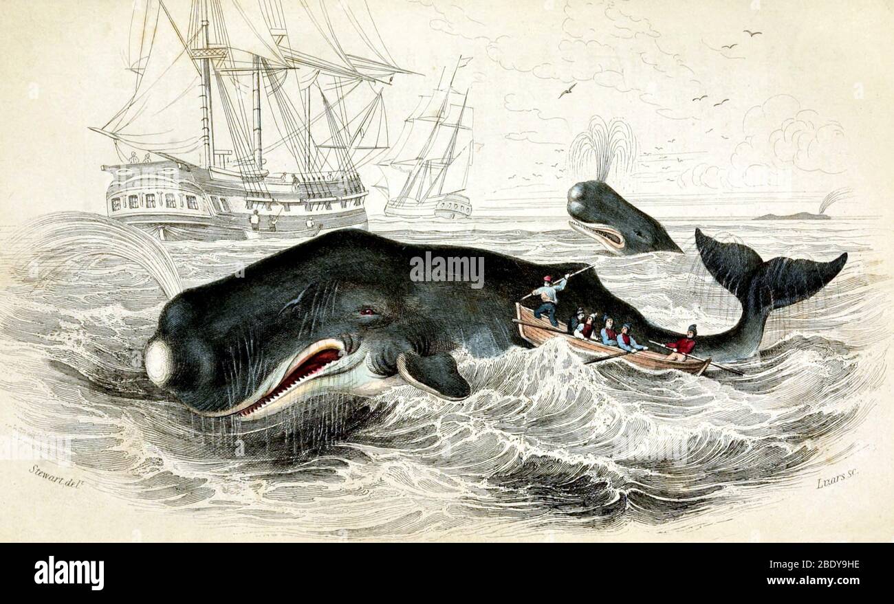 Whaling Ship 19th Century High Resolution Stock Photography and Images ...