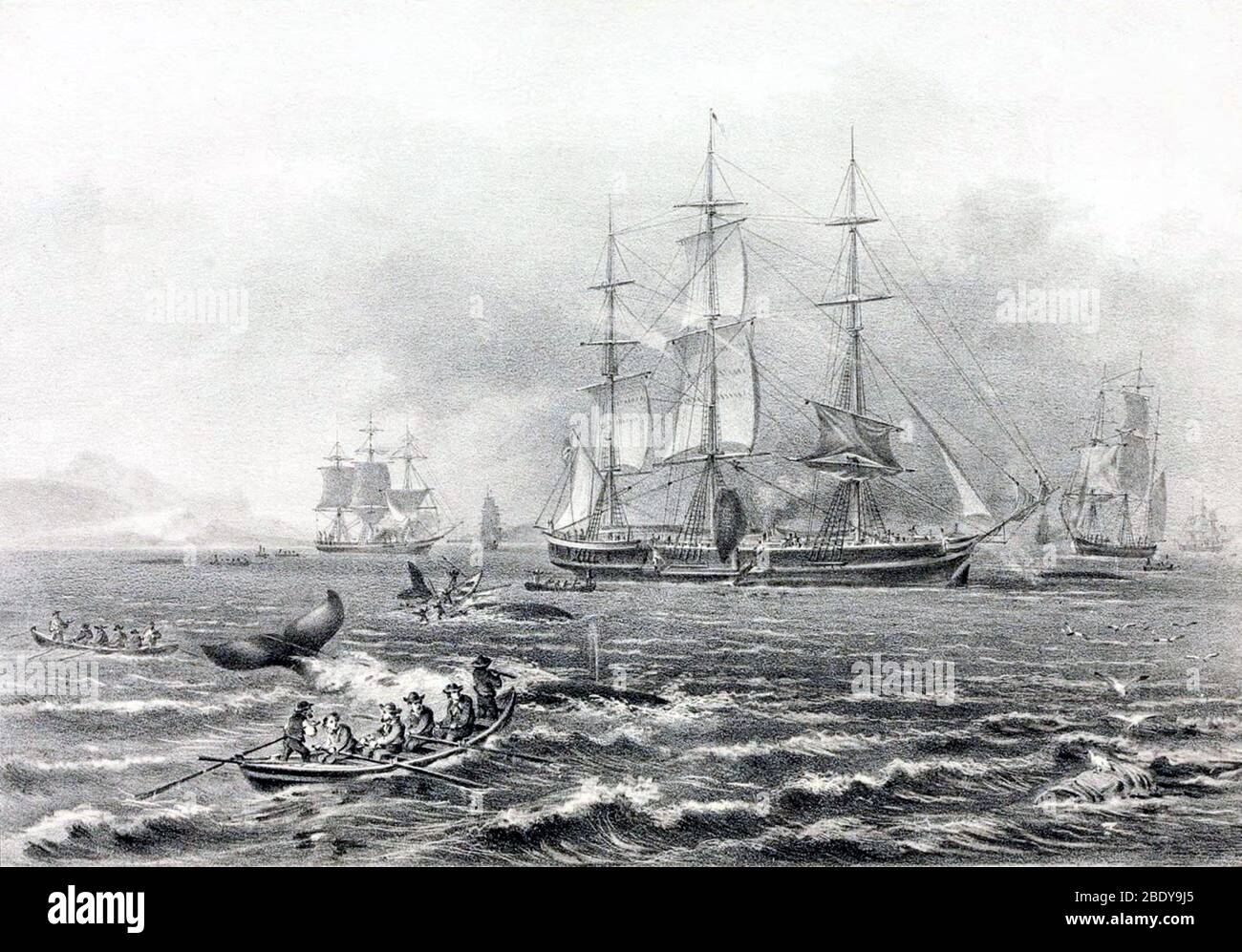 Whaling, 19th Century Stock Photo