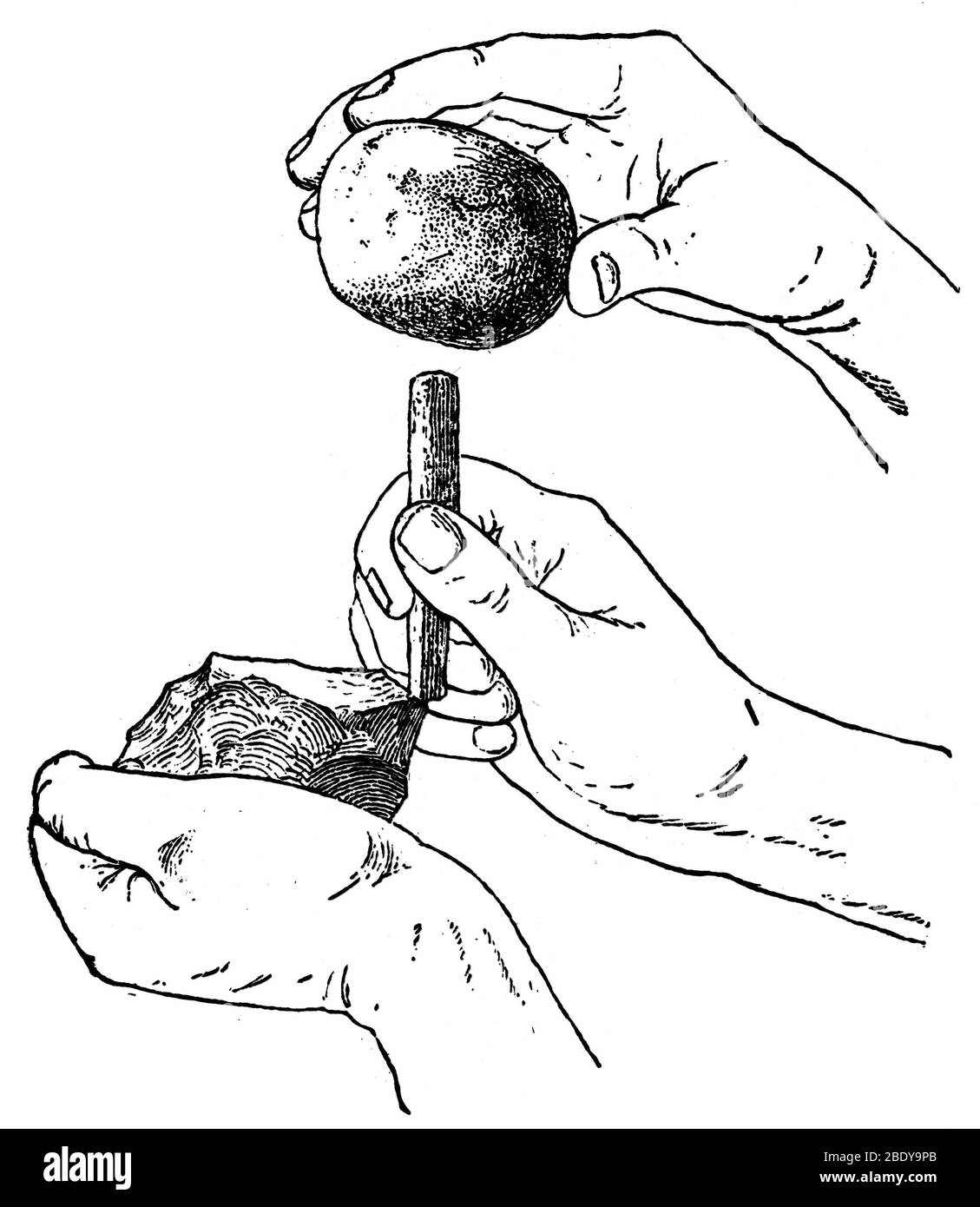 Percussion method Black and White Stock Photos & Images Alamy