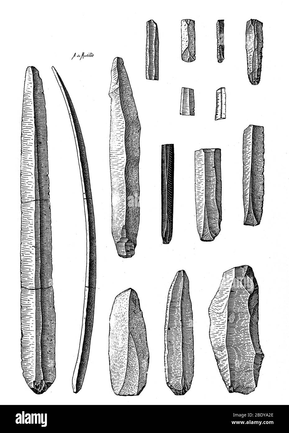 Neolithic Fint Flakes and Blades, Illustration Stock Photo