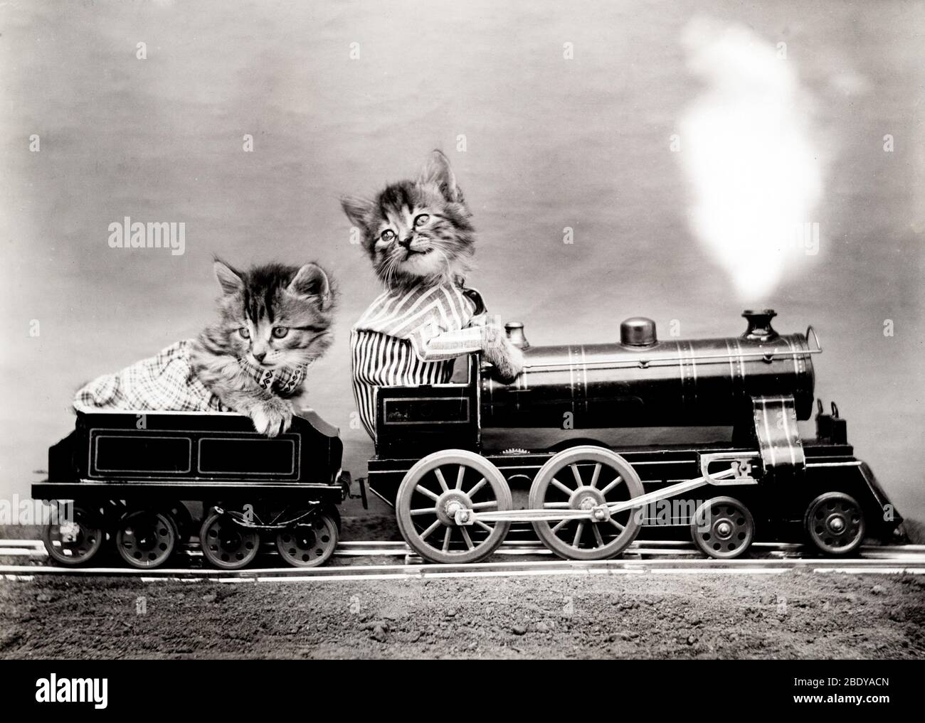 The Fast Express, 1914 Stock Photo