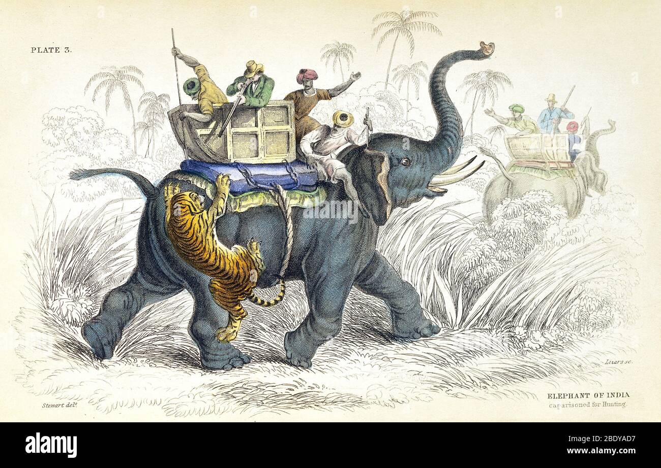 Caparisoned Elephant and Hunters, 1836 Stock Photo