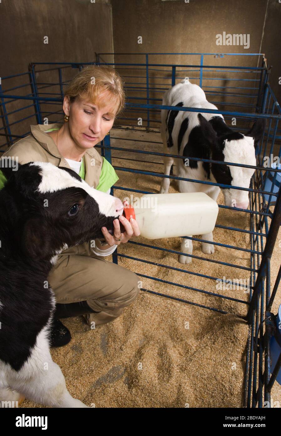 Baby cow cheap bottle