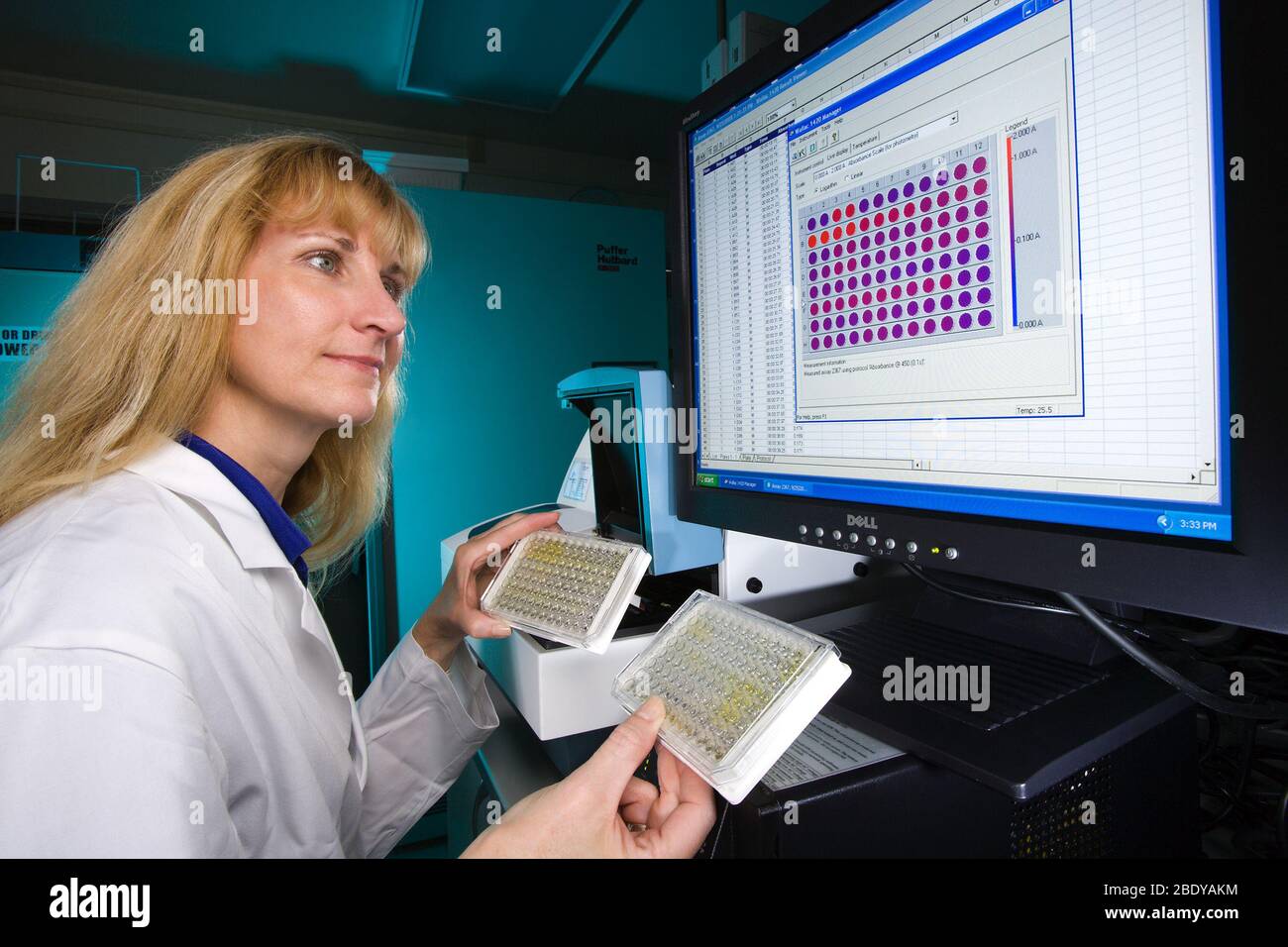 Microbiologist Views Blood Test Results Stock Photo