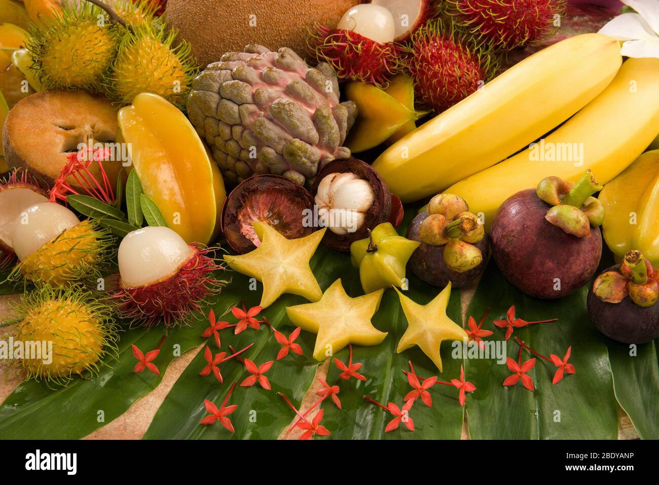 Tropical fruit custard apple hi-res stock photography and images - Alamy