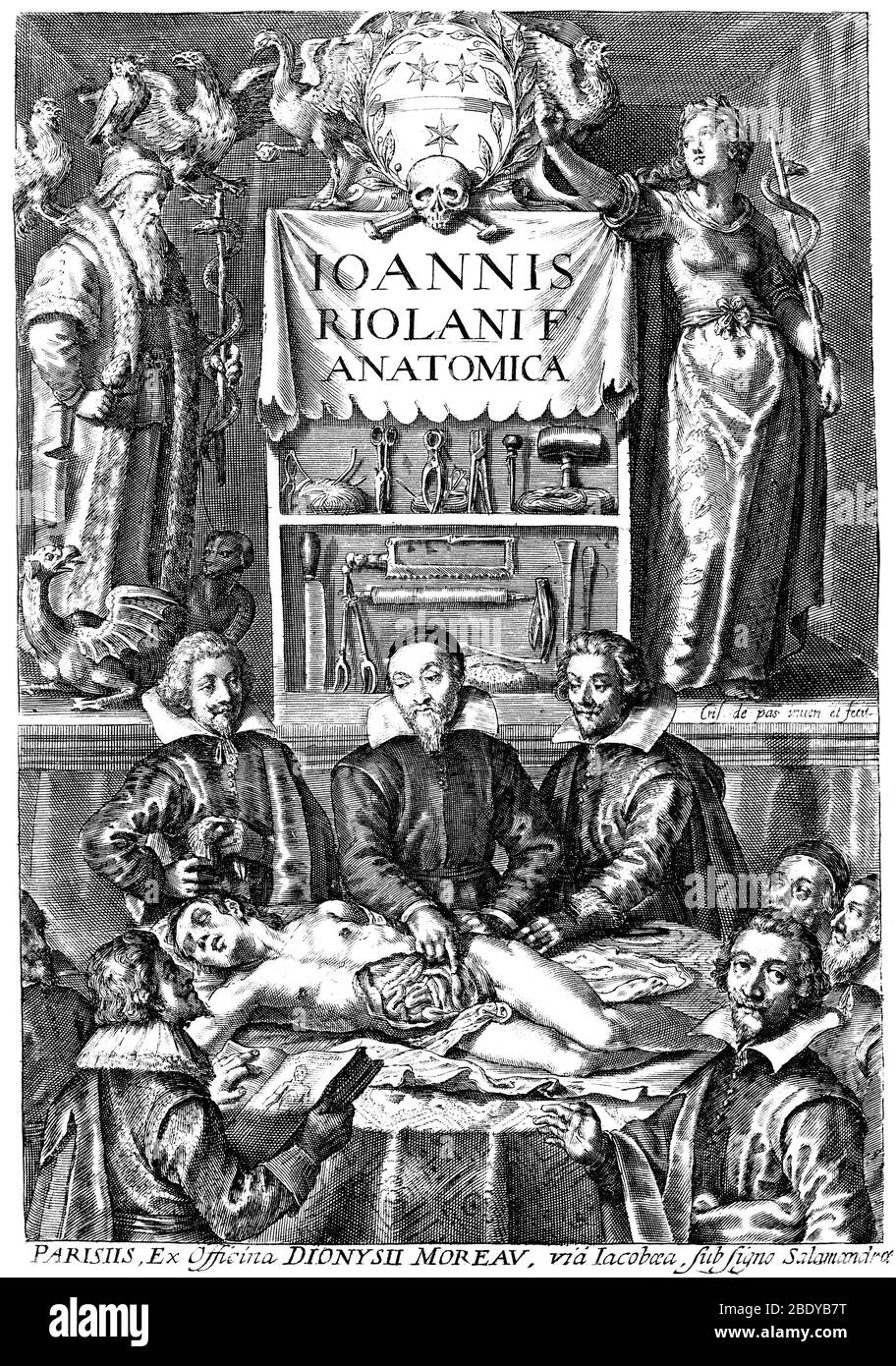 Anthropographia et osteologia, 1626 Stock Photo