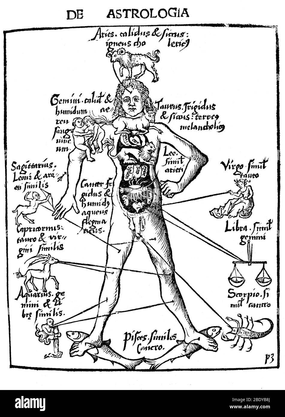 Zodiac Man, Medical Astrology, 1503 Stock Photo